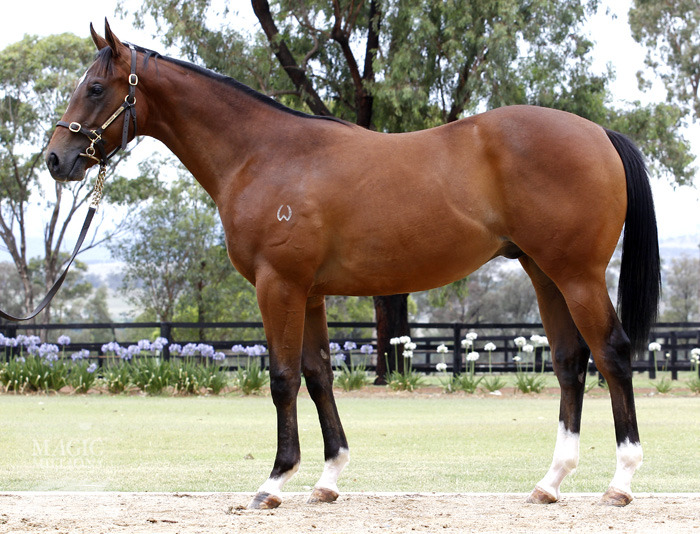 Pray To The Sky (AUS) - photo 1