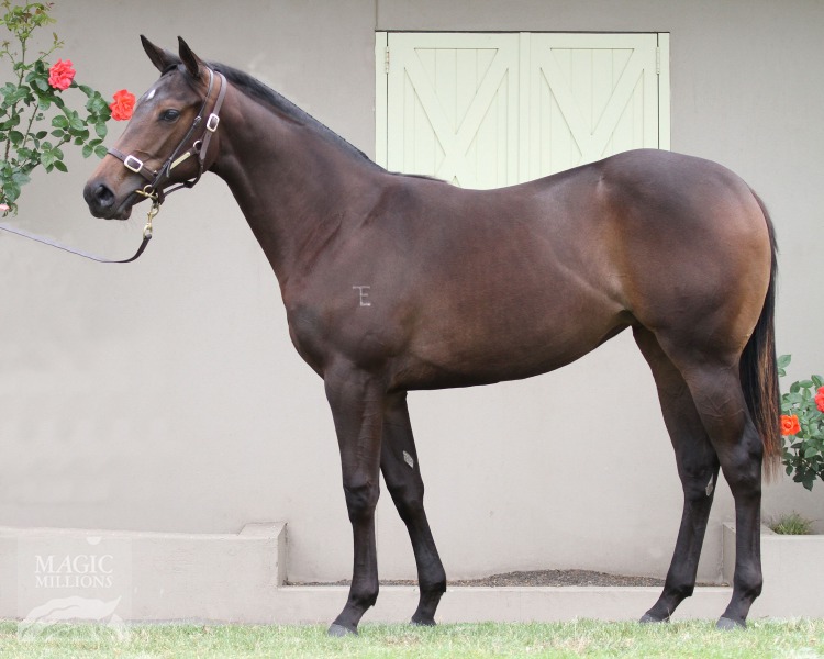 Global Glamour (AUS) - photo 1