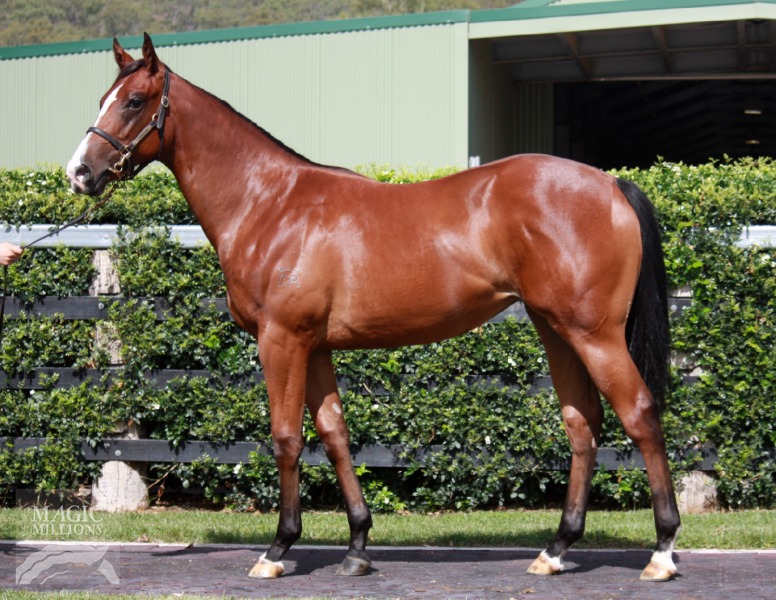 Larapineta (AUS) - photo 1