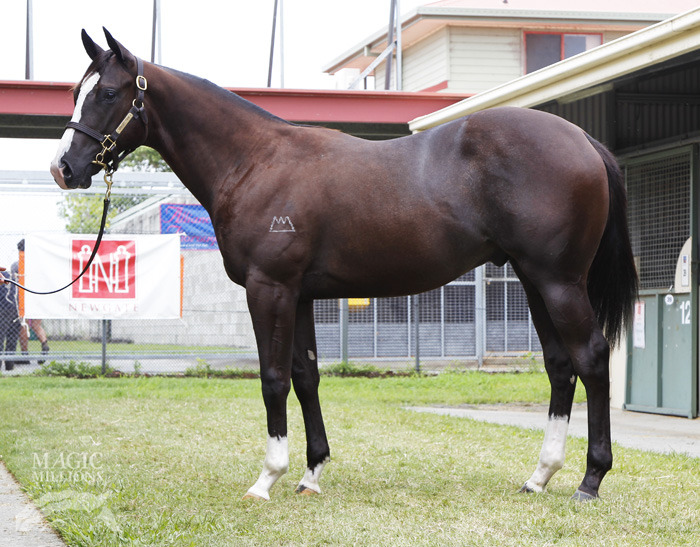 Statue of Liberty (USA) / Spectrum's Image (AUS) - photo 1
