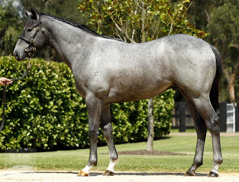 So Spirited (AUS) - photo 1