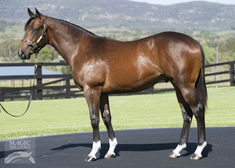 Metamorphic (AUS) - photo 1