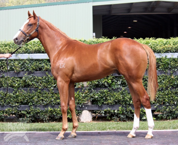 Rocksay (AUS) - photo 1