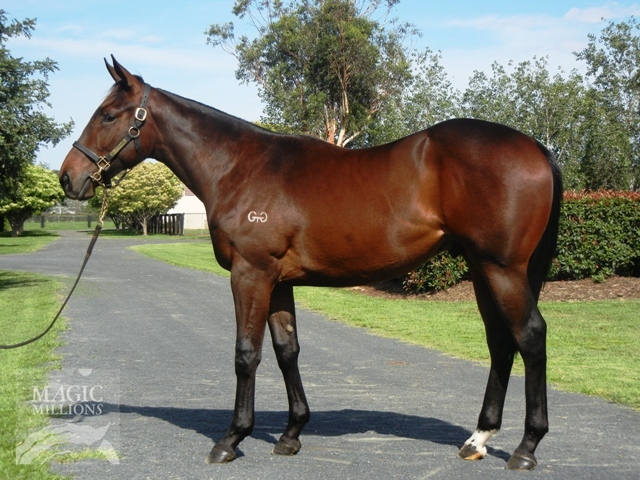 Sepoy (AUS) / Subsequent (AUS) - photo 1