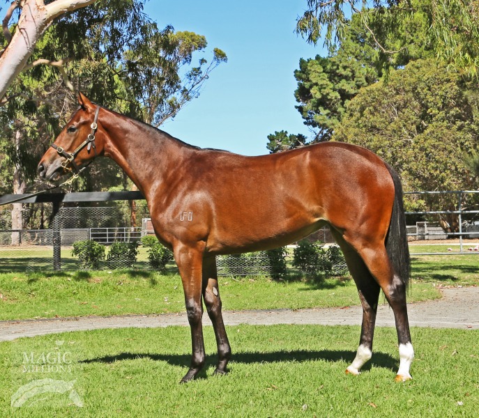 Dream Ahead (USA) / Subsequential (AUS) - photo 1