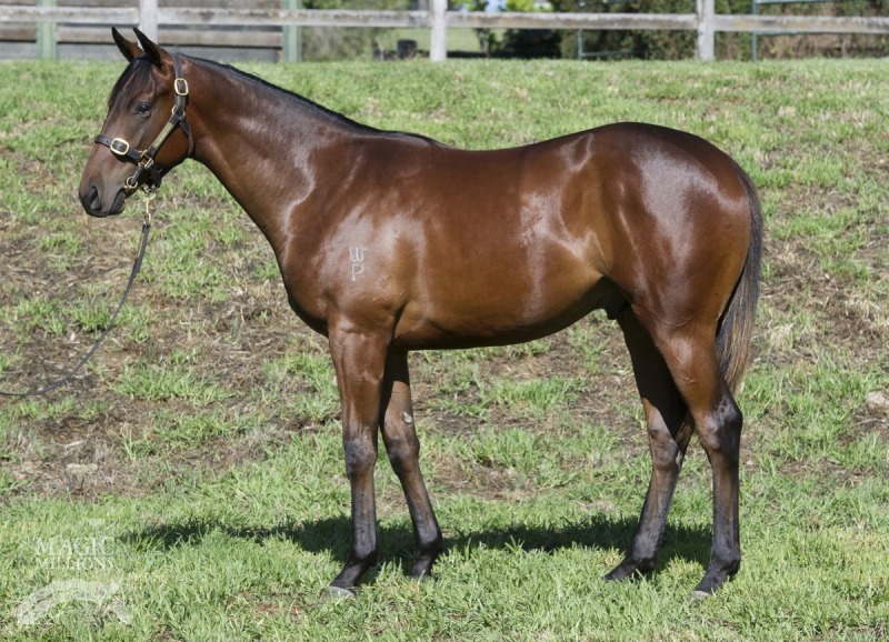 Kaching (AUS) - photo 1