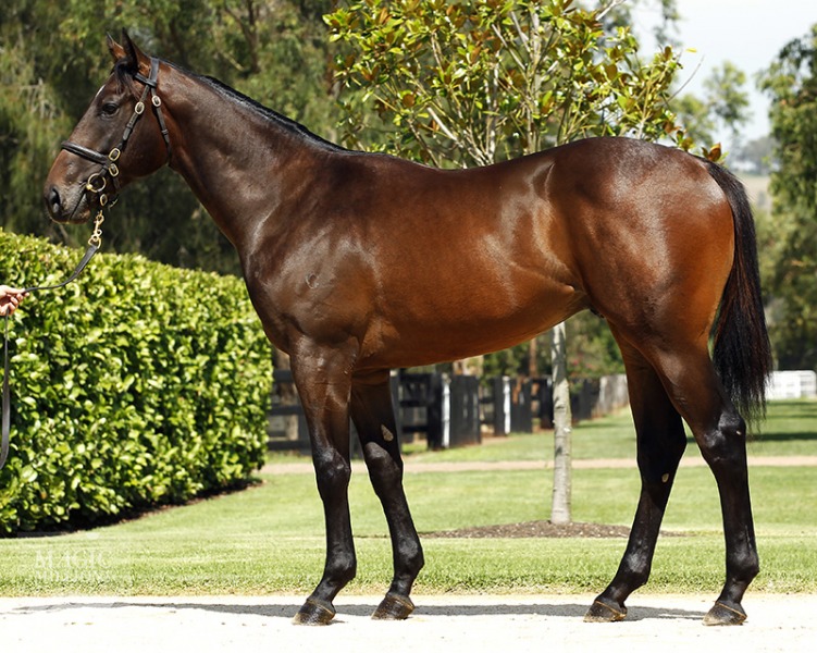 Fast 'N' Rolling (AUS) - photo 1