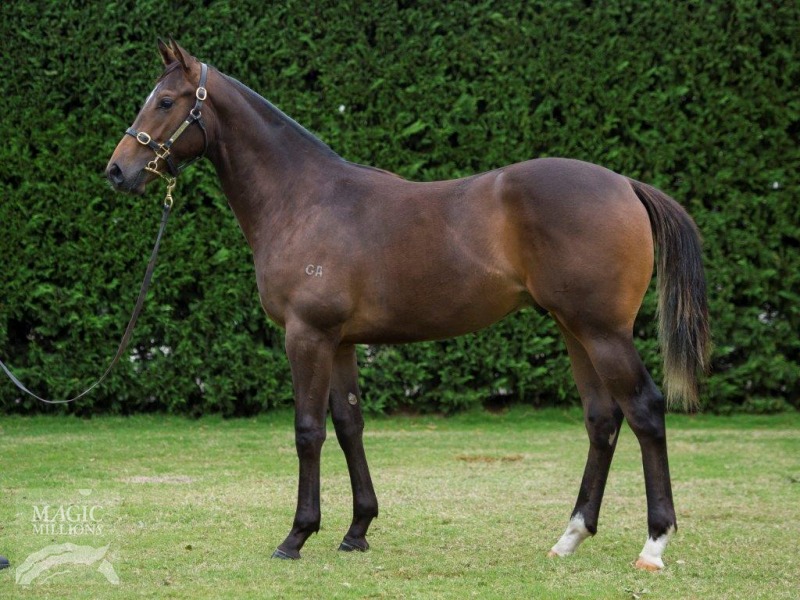 Whiskey Apple (AUS) - photo 1