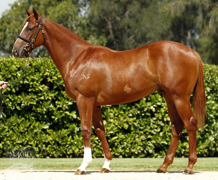 Granola State (NZ) - photo 1