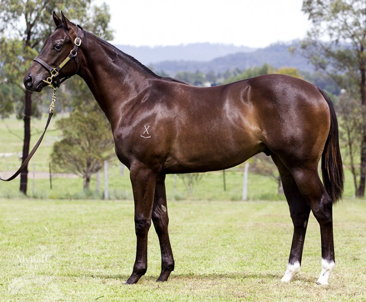 Tivoli Street (AUS) - photo 1