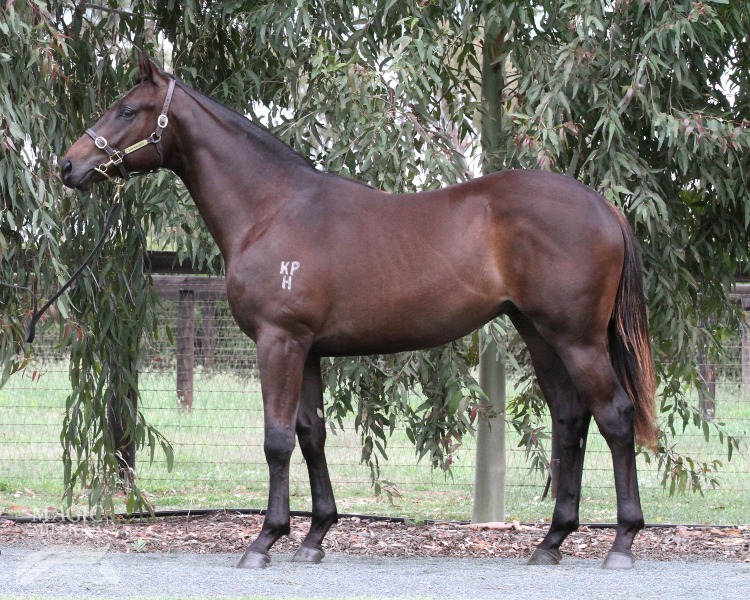 Spinning Hard (AUS) - photo 1