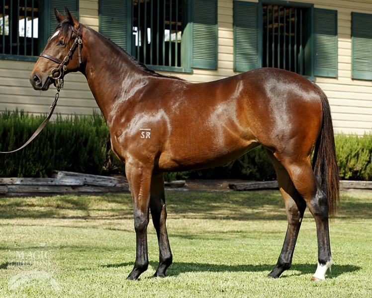 Explosive Belle (AUS) - photo 1