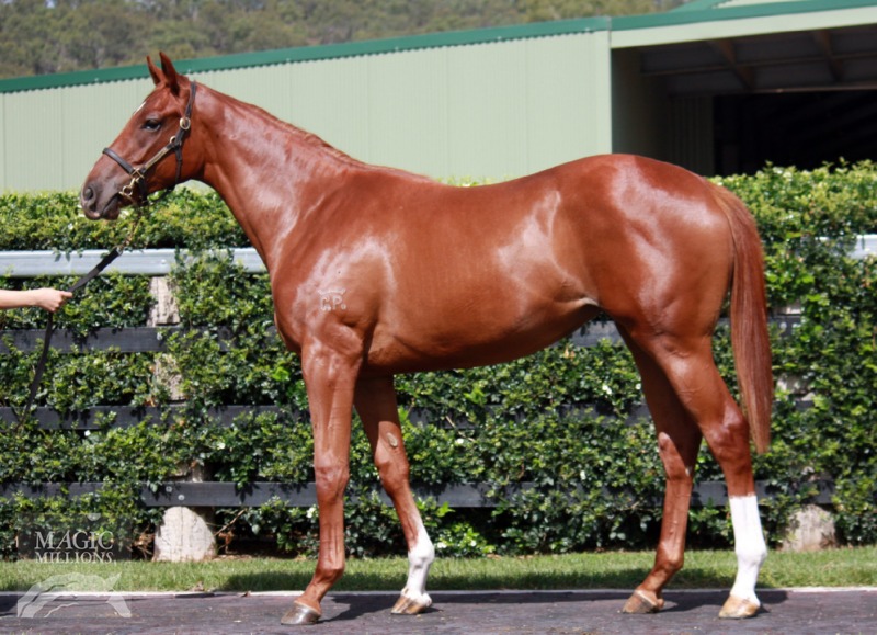 Rothesay (AUS) / Trance (AUS) - photo 1