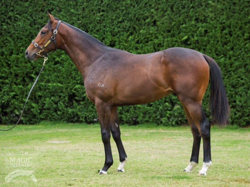 Luna Rossa (AUS) - photo 1