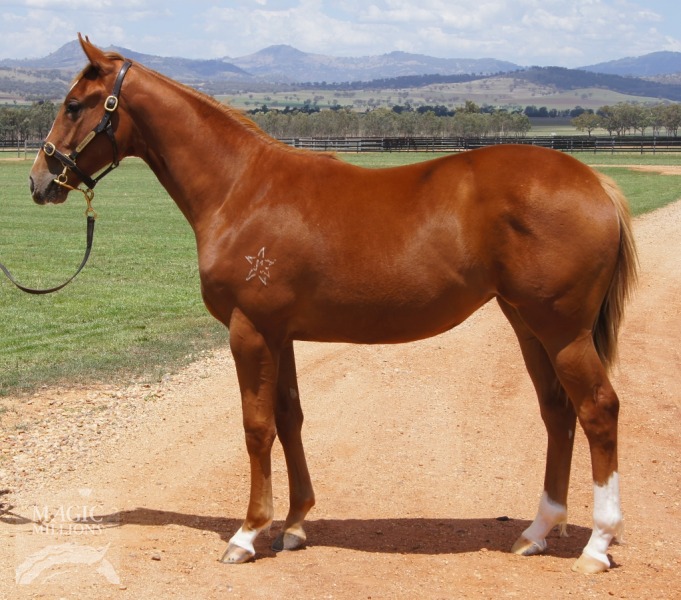 Kenzie (AUS) - photo 1