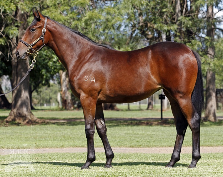 Jessica Lass (AUS) - photo 1