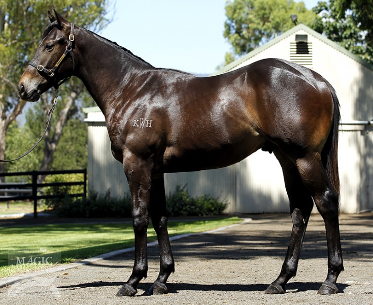 Ignite The Light (AUS) - photo 1