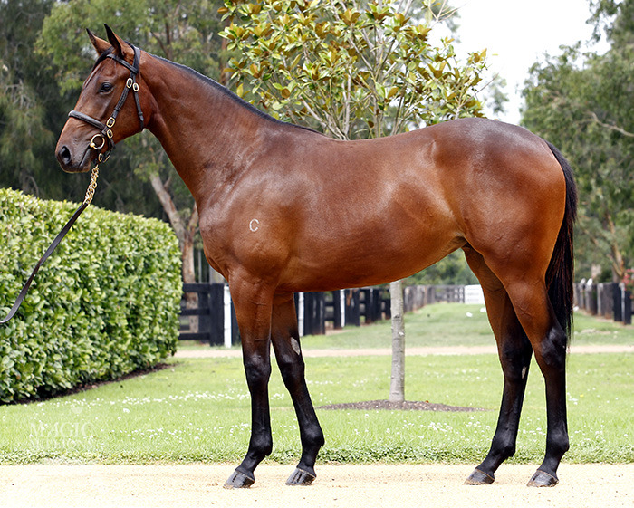 Auntie Dora (AUS) - photo 1