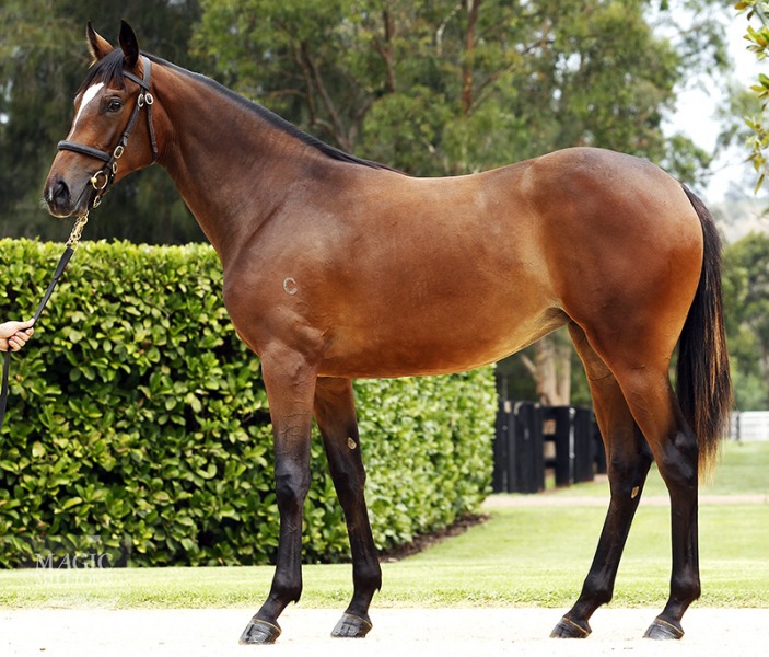 Senorita Victoria (AUS) - photo 1