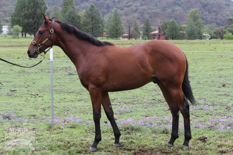 Young Forever (AUS) - photo 1