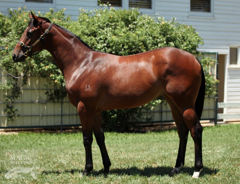 My Lucky Diamond (AUS) - photo 1