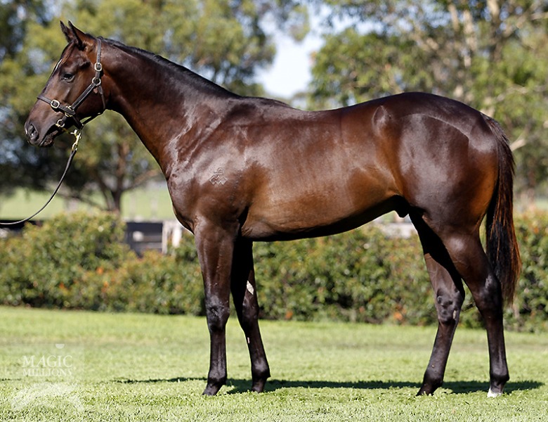 Farm Harvest (AUS) - photo 1