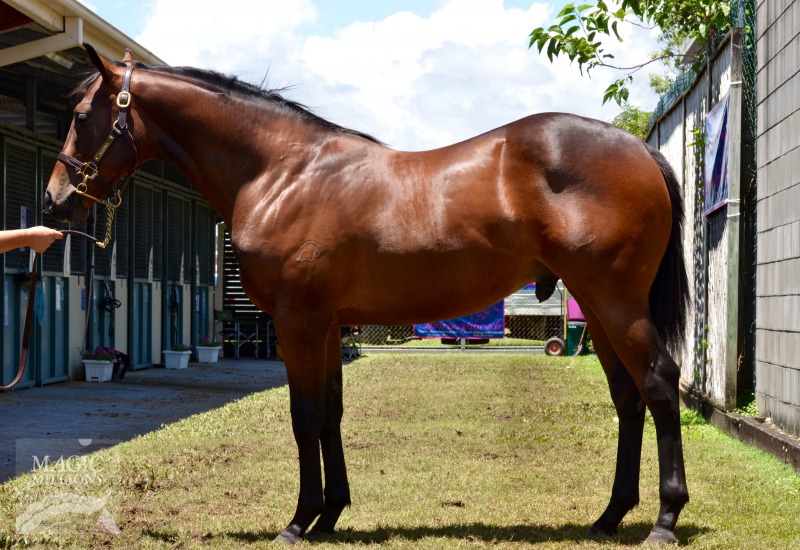 Daring Deeds (AUS) - photo 1