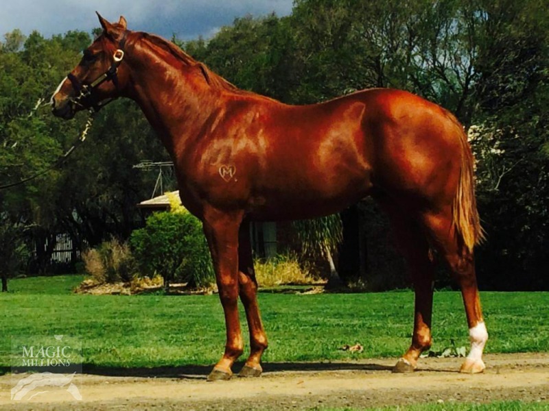 Opole County (AUS) - photo 1