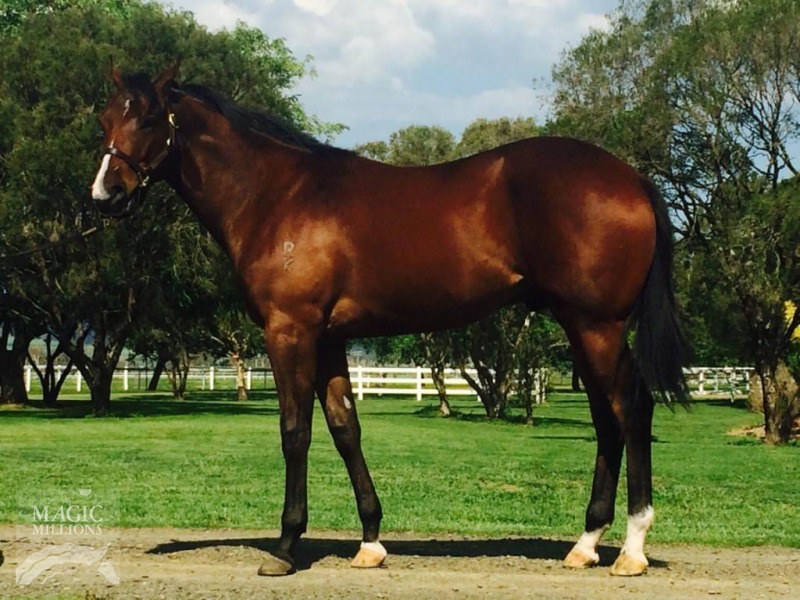 Fortune Fish (AUS) - photo 1