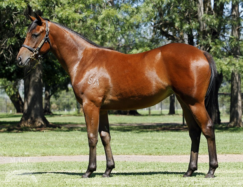 Carmel (AUS) - photo 1