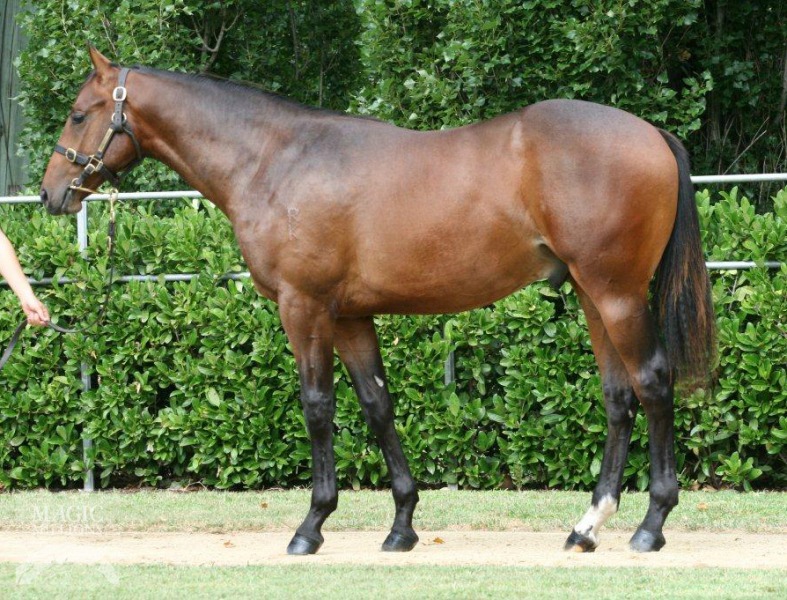 Hanover Square (AUS) - photo 1