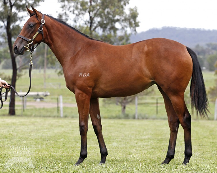 Mandalong Belle (AUS) - photo 1