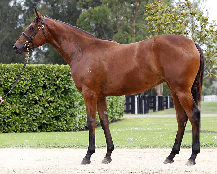 Sweet Caviar (AUS) - photo 1