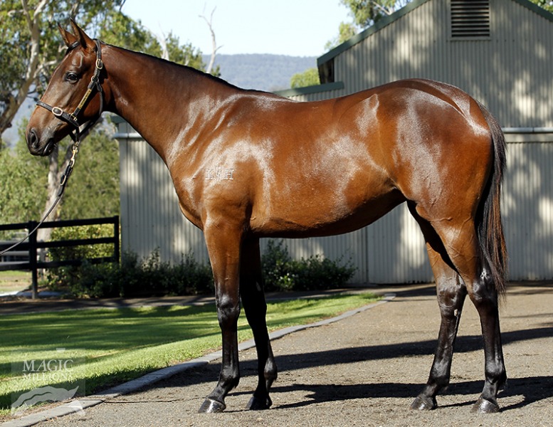 Champagne Charlee (AUS) - photo 1