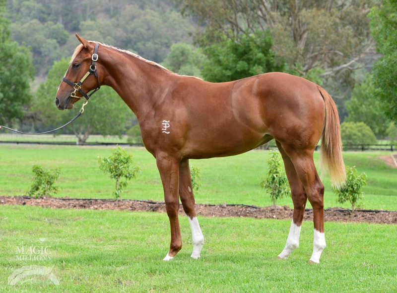 All Dreams Count (AUS) - photo 1