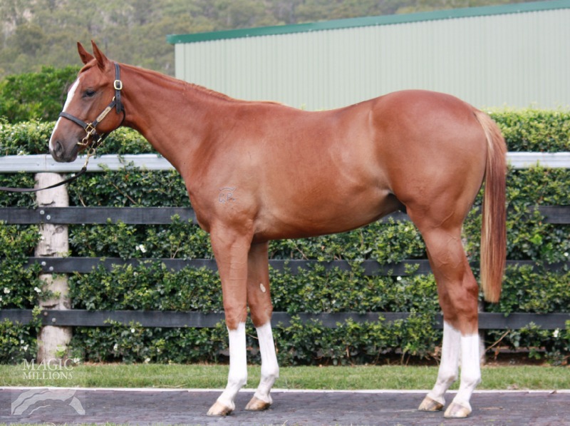 Yeppoon (AUS) - photo 1