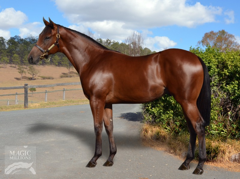 Bally Behoyd (AUS) - photo 1