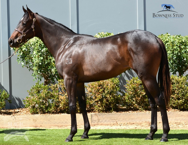 Margo Maree (AUS) - photo 1