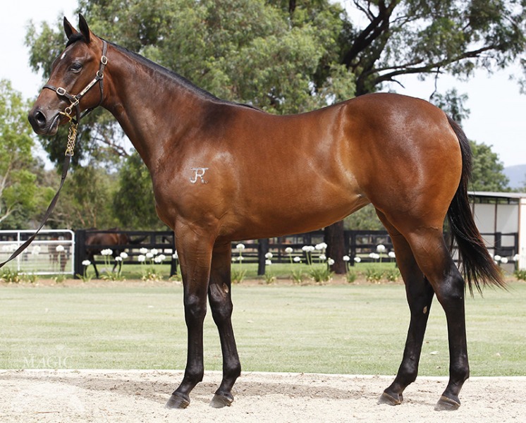 Desirable Miss (AUS) - photo 1