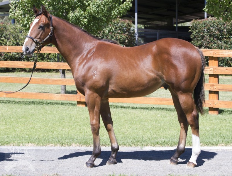 Crack Me Up (NZ) - photo 1