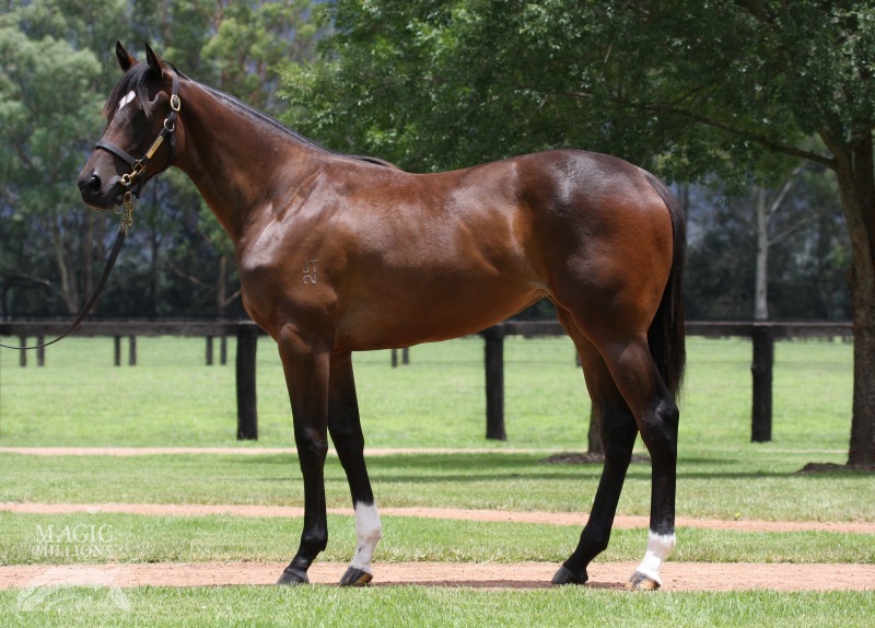 That Rings A Bell (AUS) - photo 1