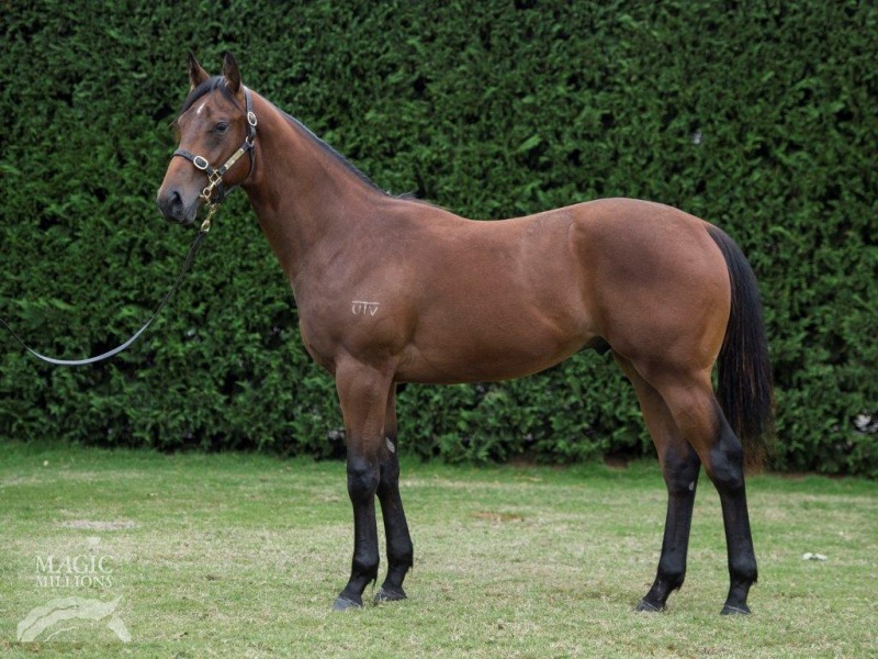 Wanted (AUS) / Consistency (AUS) - photo 1