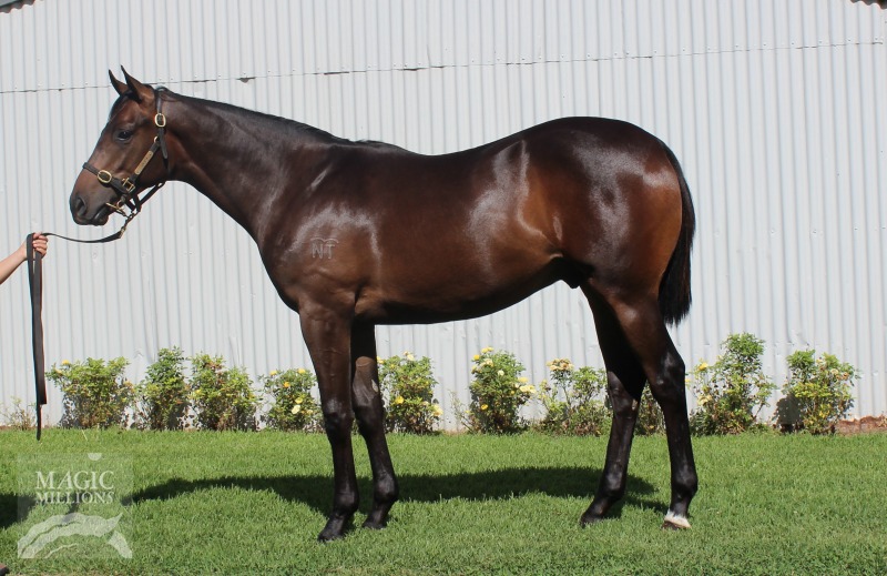 Charlie Cheval (AUS) - photo 1