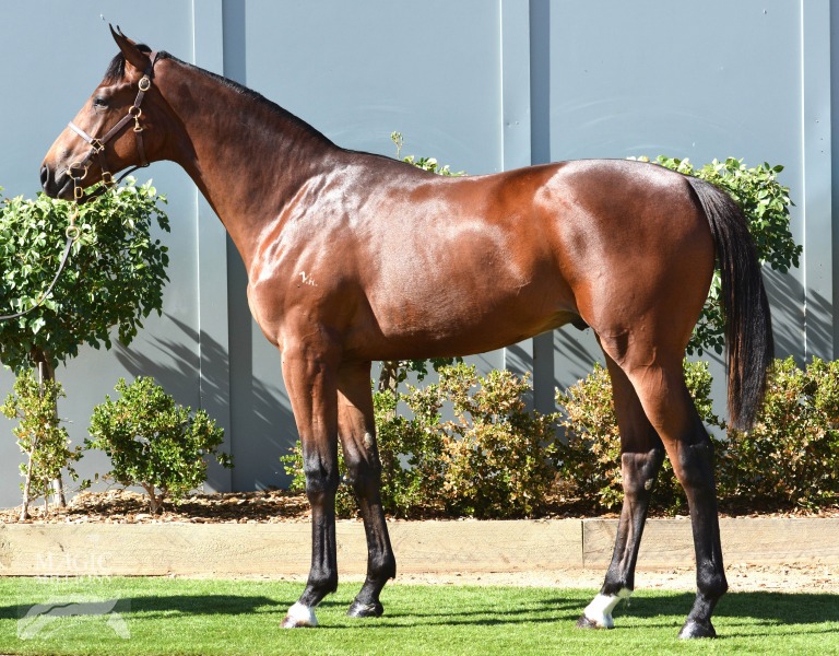 Rothesay (AUS) / Cor Corz (NZ) - photo 1