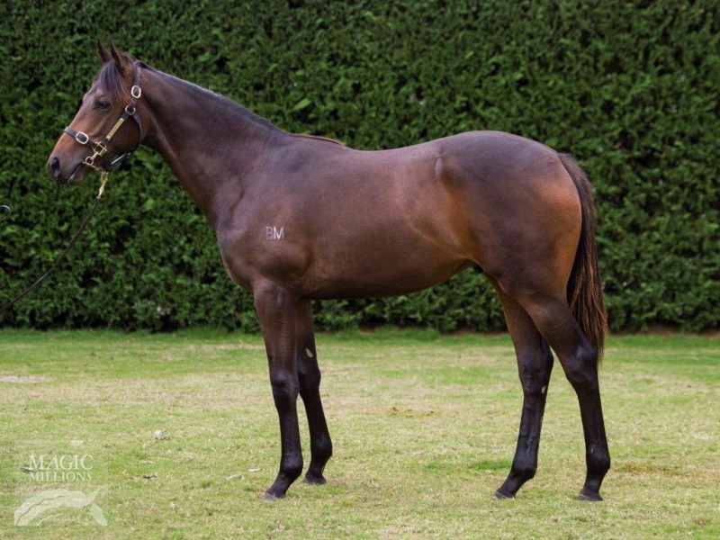 The Perfect Crop (NZ) - photo 1