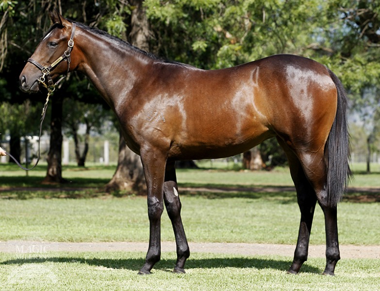 She's Fast (AUS) - photo 1