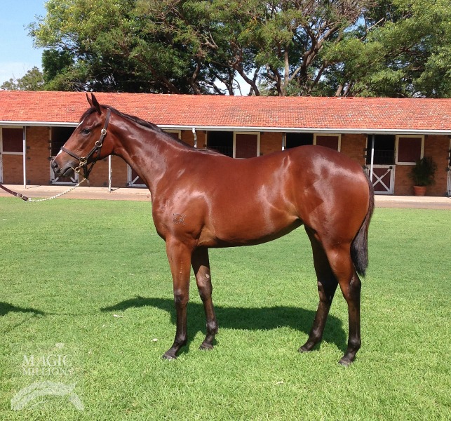 Rainy Day Woman (AUS) - photo 1