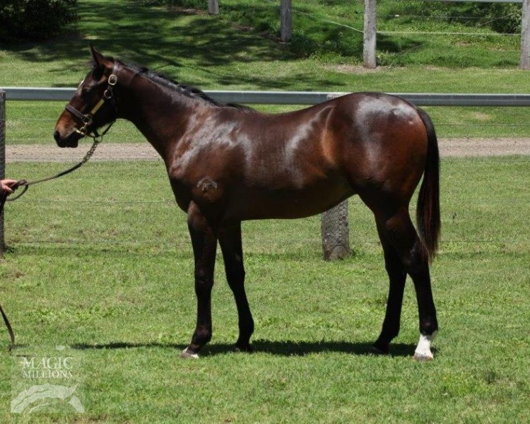 Ocean City (AUS) - photo 1