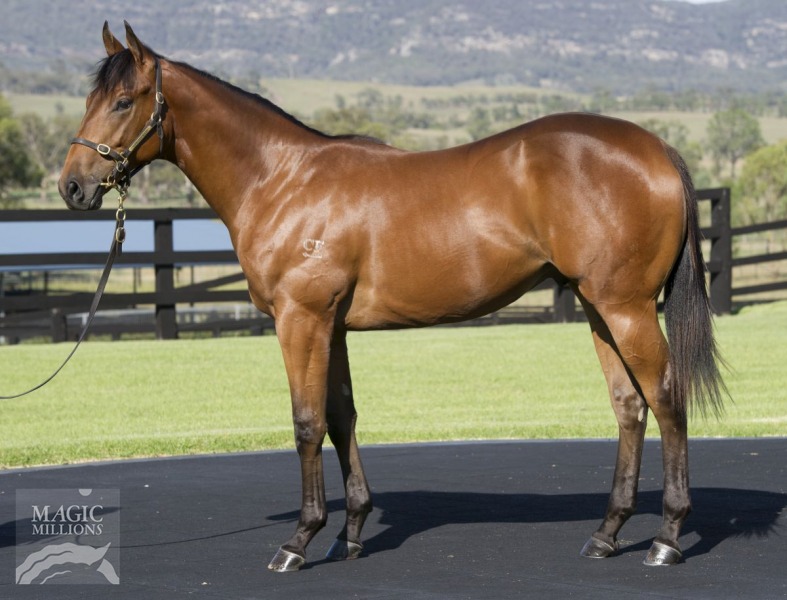 Noosafy (AUS) - photo 1