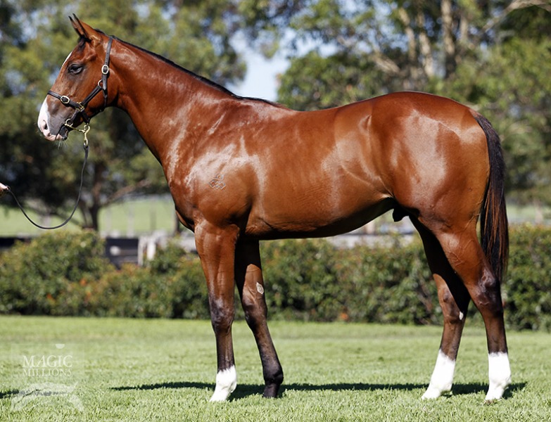 Polar Blast (AUS) - photo 1